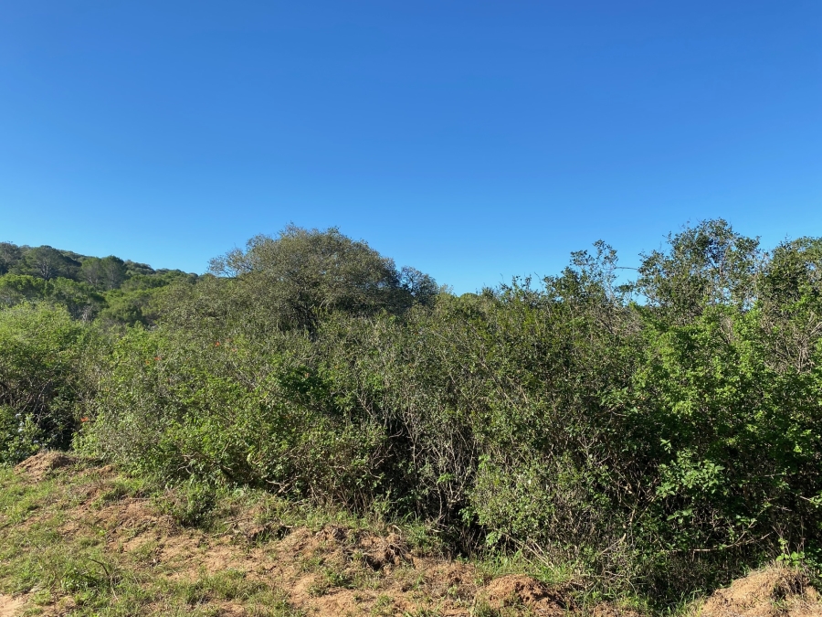 0 Bedroom Property for Sale in Bathurst Eastern Cape